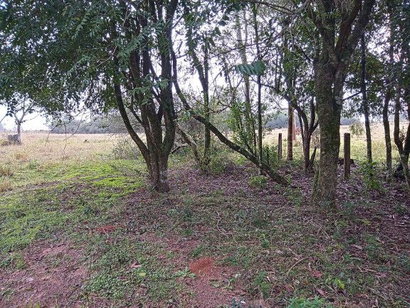 Imagem Terreno à Venda, 713 m² em águas Claras - Viamão