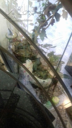Imagem Sobrado com 3 Quartos à Venda, em Vila Ré - Sao Paulo Imagem Sobrado com 3 Quartos à Venda, em Vila Ré - Sao Paulo