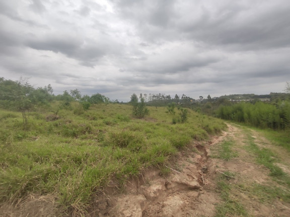 Imagem Terreno à Venda, 242.000 m² em área Rural De Limeira - Limeira Imagem Terreno à Venda, 242.000 m² em área Rural De Limeira - Limeira