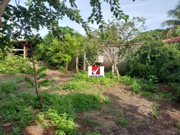 Imagem Imóvel com 5 Quartos à Venda, 2.000 m² em Recreio Das Acácias - Ribeirão Preto Imagem Imóvel com 5 Quartos à Venda, 2.000 m² em Recreio Das Acácias - Ribeirão Preto