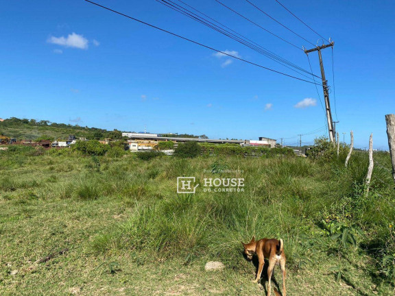 Imagem Terreno à Venda, 10.605 m² em Nossa Senhora Do Socorro - Nossa Senhora Do Socorro Imagem Terreno à Venda, 10.605 m² em Nossa Senhora Do Socorro - Nossa Senhora Do Socorro