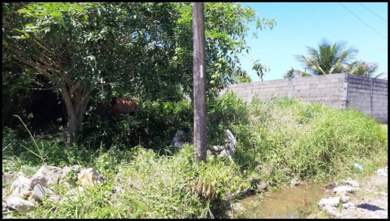 Imagem Terreno à Venda, 880 m² em Jardim Somar - Peruíbe