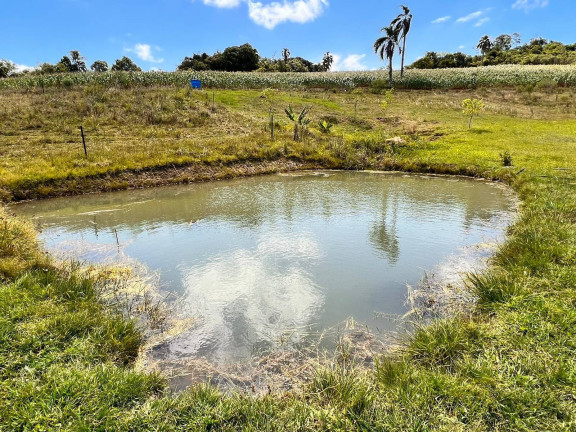 Imagem Chácara com 2 Quartos à Venda, 6 m² em Morungava - Gravataí Imagem Chácara com 2 Quartos à Venda, 6 m² em Morungava - Gravataí