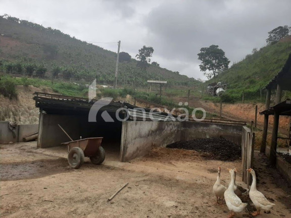 Imagem Fazenda à Venda, 90 m² em Itapeva - Paraibuna Imagem Fazenda à Venda, 90 m² em Itapeva - Paraibuna