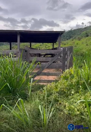 Imagem Fazenda à Venda, 45 m² em Zona Rural - São Félix Do Xingu Imagem Fazenda à Venda, 45 m² em Zona Rural - São Félix Do Xingu