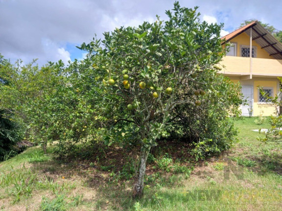Imagem Imóvel com 3 Quartos à Venda, 5.100 m² em Balneário Ponta Da Fruta - Vila Velha Imagem Imóvel com 3 Quartos à Venda, 5.100 m² em Balneário Ponta Da Fruta - Vila Velha