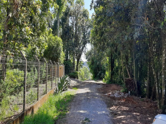 Imagem Casa com 4 Quartos à Venda, 241 m² em Linha Imperial - Nova Petrópolis Imagem Casa com 4 Quartos à Venda, 241 m² em Linha Imperial - Nova Petrópolis