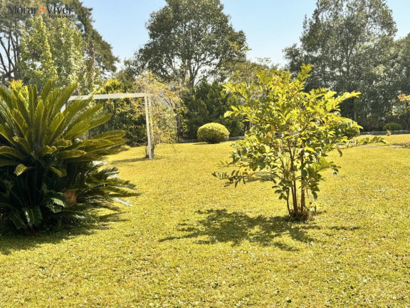 Imagem Chácara com 4 Quartos à Venda, 7.700 m² em Loteamento Chácara Chantecler - Piraquara