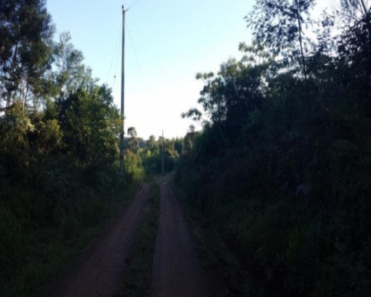 Imagem Terreno à Venda, 1 m² em São Jacó - Nova Petrópolis Imagem Terreno à Venda, 1 m² em São Jacó - Nova Petrópolis