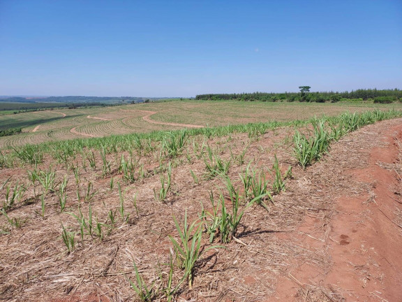 Imagem Chácara à Venda, 35 m² em Centro - Brumadinho Imagem Chácara à Venda, 35 m² em Centro - Brumadinho