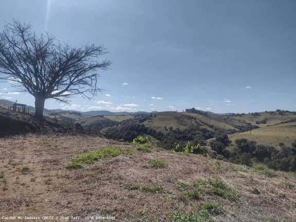 Imagem Chácara à Venda, 44.800 m² em Santo Antônio De Caldas - Caldas Imagem Chácara à Venda, 44.800 m² em Santo Antônio De Caldas - Caldas