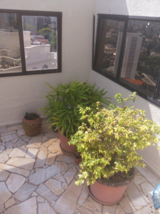 Imagem Apartamento com 3 Quartos à Venda ou Locação, 170 m² em Cambuí - Campinas