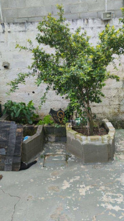 Imagem Casa com 2 Quartos à Venda, 80 m² em Parque Santo Antônio - Jacareí Imagem Casa com 2 Quartos à Venda, 80 m² em Parque Santo Antônio - Jacareí