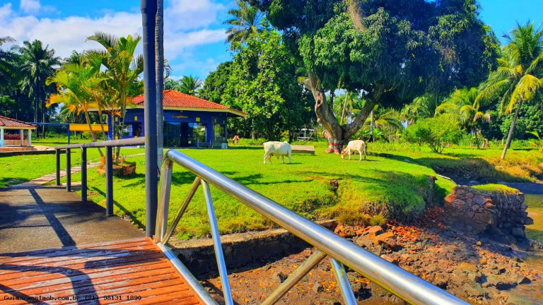 Imagem Chácara à Venda, 10 m² em São Roque Do Paraguaçu - Maragogipe