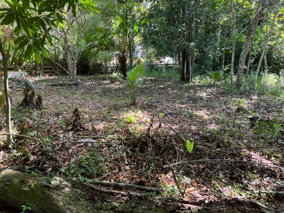 Imagem Terreno à Venda, 500 m² em Orla Norte - Porto Seguro Imagem Terreno à Venda, 500 m² em Orla Norte - Porto Seguro