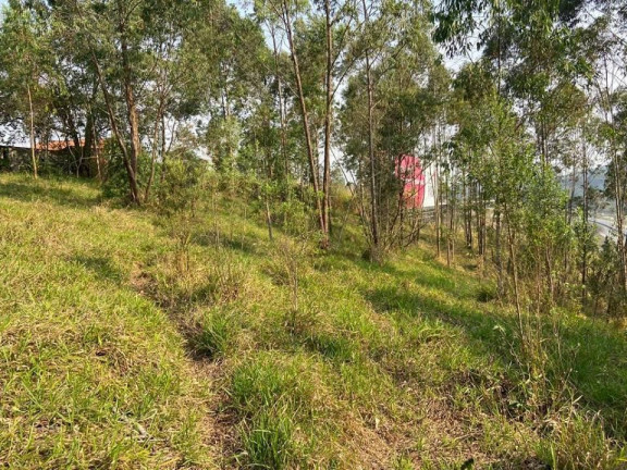 Imagem Chácara à Venda, 5.141 m² em Chácara Recreio Lagoa Dos Patos - Jundiaí Imagem Chácara à Venda, 5.141 m² em Chácara Recreio Lagoa Dos Patos - Jundiaí