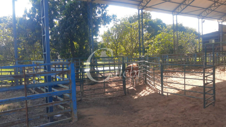 Imagem Chácara com 5 Quartos à Venda, 3 m² em Varginha - Santo Antônio De Posse Imagem Chácara com 5 Quartos à Venda, 3 m² em Varginha - Santo Antônio De Posse