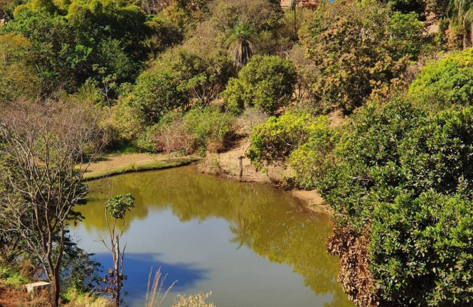 Imagem Chácara com 3 Quartos à Venda, 5.100 m² em Zona Rural - Anápolis Imagem Chácara com 3 Quartos à Venda, 5.100 m² em Zona Rural - Anápolis