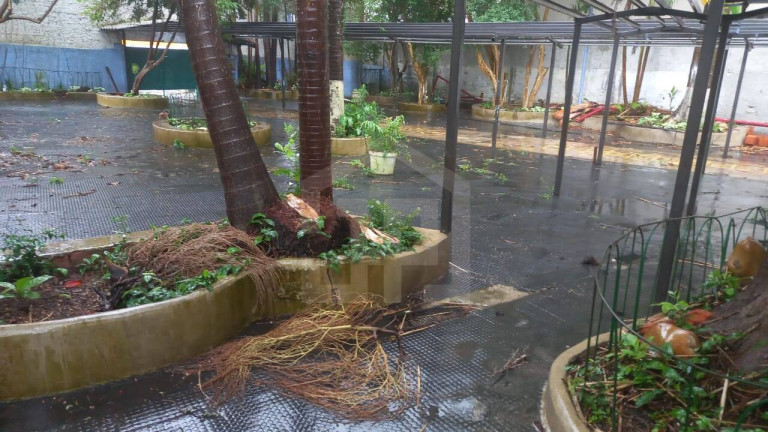 Imagem Terreno à Venda, 1 m² em Vila Parque Jabaquara - São Paulo