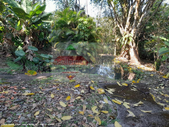 Imagem Chácara com 4 Quartos à Venda, 280 m² em Barreiro - Taubaté Imagem Chácara com 4 Quartos à Venda, 280 m² em Barreiro - Taubaté