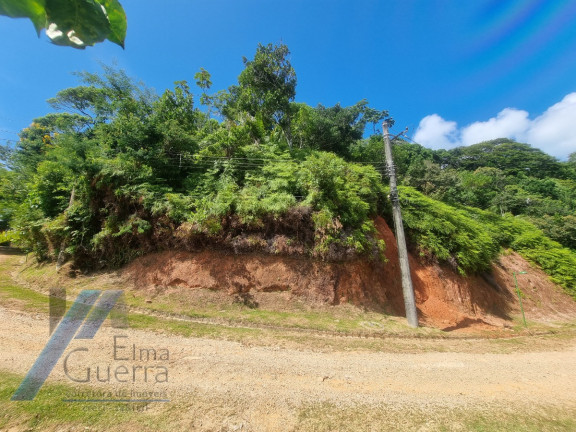 Imagem Terreno à Venda, 1.200 m² em Praia Do Pulso - Ubatuba