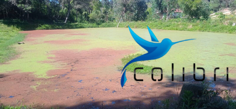 Imagem Chácara com 3 Quartos à Venda, 10.300 m² em Agua Clara - Quitandinha Imagem Chácara com 3 Quartos à Venda, 10.300 m² em Agua Clara - Quitandinha