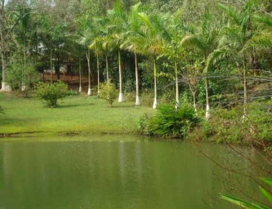 Imagem Imóvel com 5 Quartos à Venda, 300 m² em Fazenda Velha - Cesário Lange Imagem Imóvel com 5 Quartos à Venda, 300 m² em Fazenda Velha - Cesário Lange
