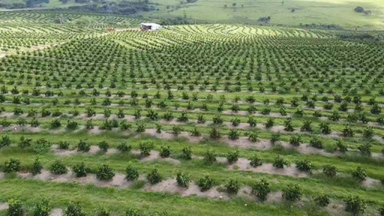 Imagem Fazenda à Venda, 121 m² em Rio Pardo - águas De Santa Bárbara Imagem Fazenda à Venda, 121 m² em Rio Pardo - águas De Santa Bárbara