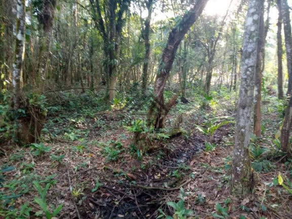 Imagem Chácara à Venda, 1.250 m² em Jardim Aguapeú - Itanhaém Imagem Chácara à Venda, 1.250 m² em Jardim Aguapeú - Itanhaém