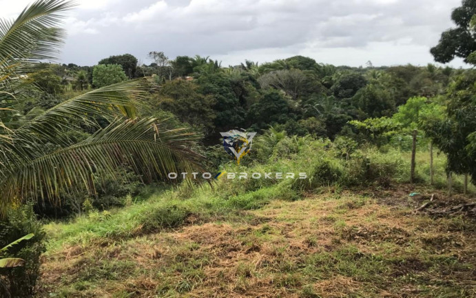 Imagem Terreno à Venda, 7.500 m² em Tânia - Santa Cruz Cabrália