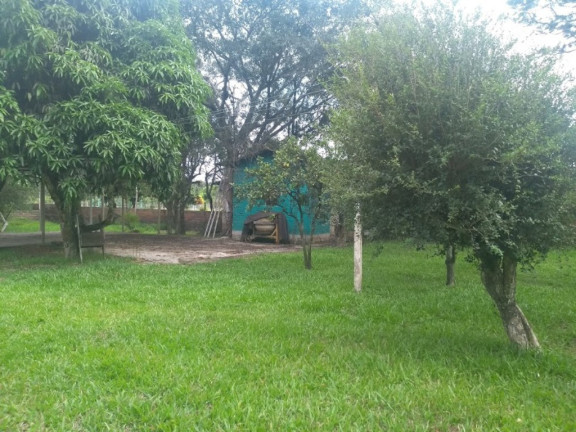 Imagem Imóvel com 4 Quartos à Venda, 150 m² em Lami - Porto Alegre Imagem Imóvel com 4 Quartos à Venda, 150 m² em Lami - Porto Alegre