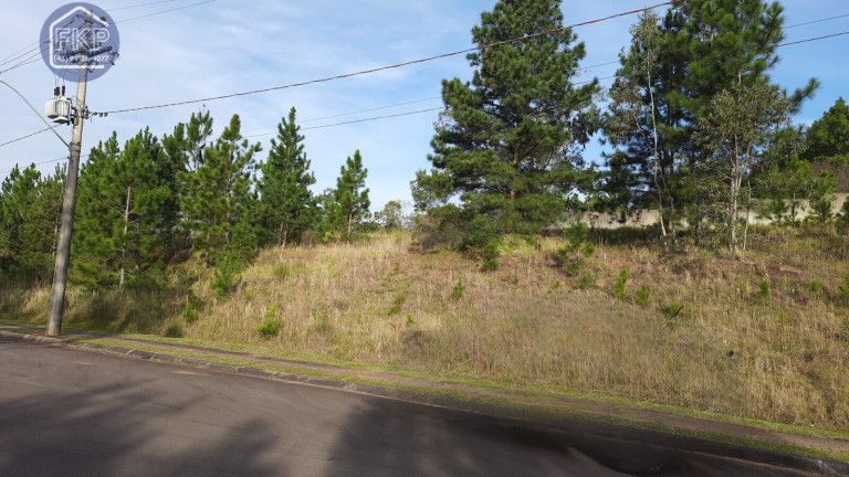 Terreno à Venda, 1.429 m² em Santa Isabel - Viamão