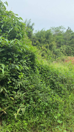 Imagem Terreno à Venda, 2 m² em Centro - Itariri Imagem Terreno à Venda, 2 m² em Centro - Itariri
