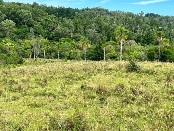 Imagem Chácara à Venda, 3 m² em Morungava - Gravataí Imagem Chácara à Venda, 3 m² em Morungava - Gravataí