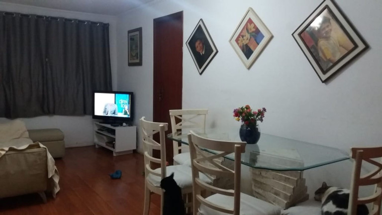 Imagem Apartamento com 3 Quartos à Venda, 65 m² em Campo Limpo - São Paulo Imagem Apartamento com 3 Quartos à Venda, 65 m² em Campo Limpo - São Paulo