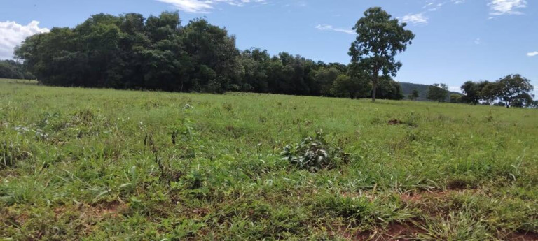 Imagem Fazenda à Venda, 121 m² em Zona Rural - Montes Claros De Goiás Imagem Fazenda à Venda, 121 m² em Zona Rural - Montes Claros De Goiás