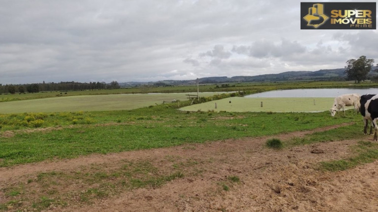 Imagem Imóvel com 3 Quartos à Venda, 660.000 m² em Zona Rural - Capão Do Leão