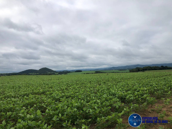 Imagem Fazenda à Venda, 105 m² em Zona Rural - Fazenda Nova Imagem Fazenda à Venda, 105 m² em Zona Rural - Fazenda Nova