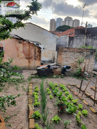 Imagem Terreno à Venda, 293 m² em Vila Augusta - Guarulhos Imagem Terreno à Venda, 293 m² em Vila Augusta - Guarulhos