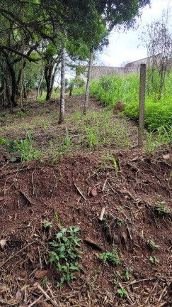 Imagem Terreno à Venda, 1.000 m² em Alpes De Piedade - Piedade Imagem Terreno à Venda, 1.000 m² em Alpes De Piedade - Piedade