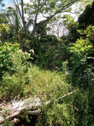 Imagem Terreno à Venda, 950 m² em Gamboa - Vera Cruz