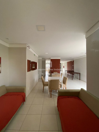 Imagem Apartamento com 2 Quartos à Venda, 47 m² em Vila Paranaguá - São Paulo Imagem Apartamento com 2 Quartos à Venda, 47 m² em Vila Paranaguá - São Paulo