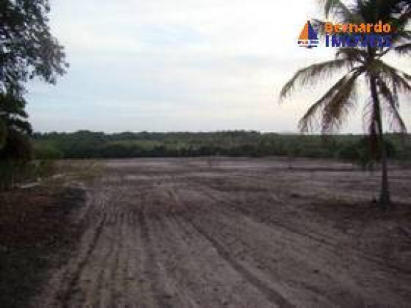 Imagem Chácara com 3 Quartos à Venda, 170 m² em Sitio Prata - Cascavel Imagem Chácara com 3 Quartos à Venda, 170 m² em Sitio Prata - Cascavel