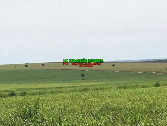 Imagem Fazenda à Venda, 31.460.000 m² em São José Dos Campos Imagem Fazenda à Venda, 31.460.000 m² em São José Dos Campos