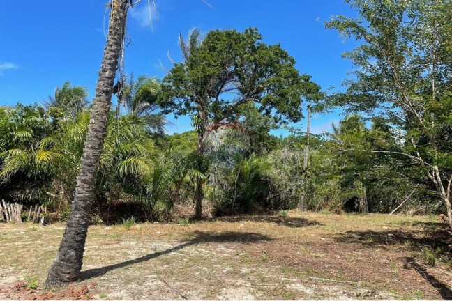 Imagem Terreno à Venda, 450 m² em Mata De São João - Mata De São João Imagem Terreno à Venda, 450 m² em Mata De São João - Mata De São João