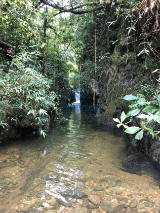 Imagem Chácara com 3 Quartos à Venda, 1.200.000 m² em Lageado Alto - Guabiruba Imagem Chácara com 3 Quartos à Venda, 1.200.000 m² em Lageado Alto - Guabiruba