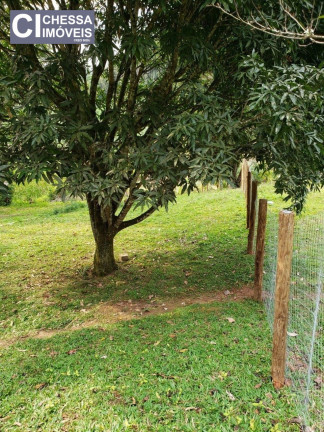 Imagem Chácara com 2 Quartos à Venda, 21.000 m² em Vila Do Salto - Luiz Alves Imagem Chácara com 2 Quartos à Venda, 21.000 m² em Vila Do Salto - Luiz Alves