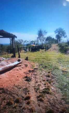 Imagem Chácara à Venda, 6 m² em Zona Rural - Pirenópolis Imagem Chácara à Venda, 6 m² em Zona Rural - Pirenópolis