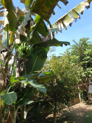 Imagem Imóvel à Venda, 1 m² em Rio Abaixo - Mairiporã Imagem Imóvel à Venda, 1 m² em Rio Abaixo - Mairiporã