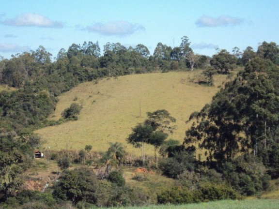 Imagem Imóvel com 2 Quartos à Venda, 266.200 m² em Zona Rural - Jacui